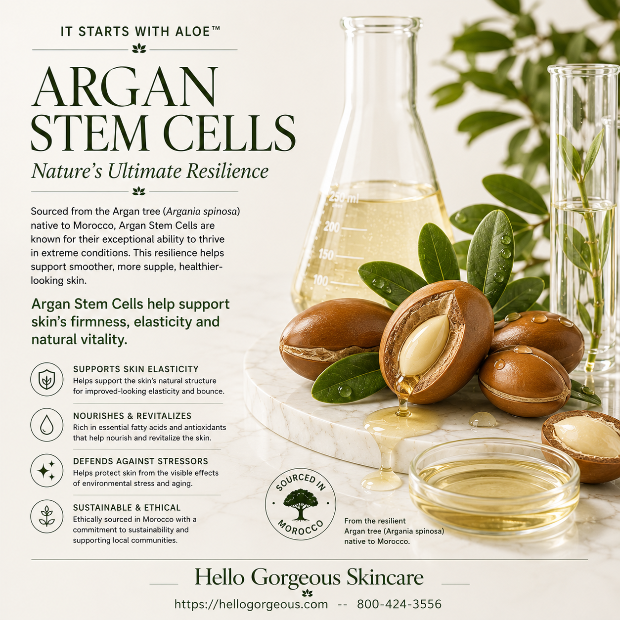 Probiotic Stem Cell Face Serum
