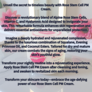 Rose Stem Cell PM Cream