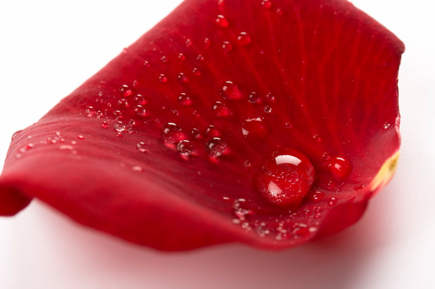 Dry Moisture Essentials