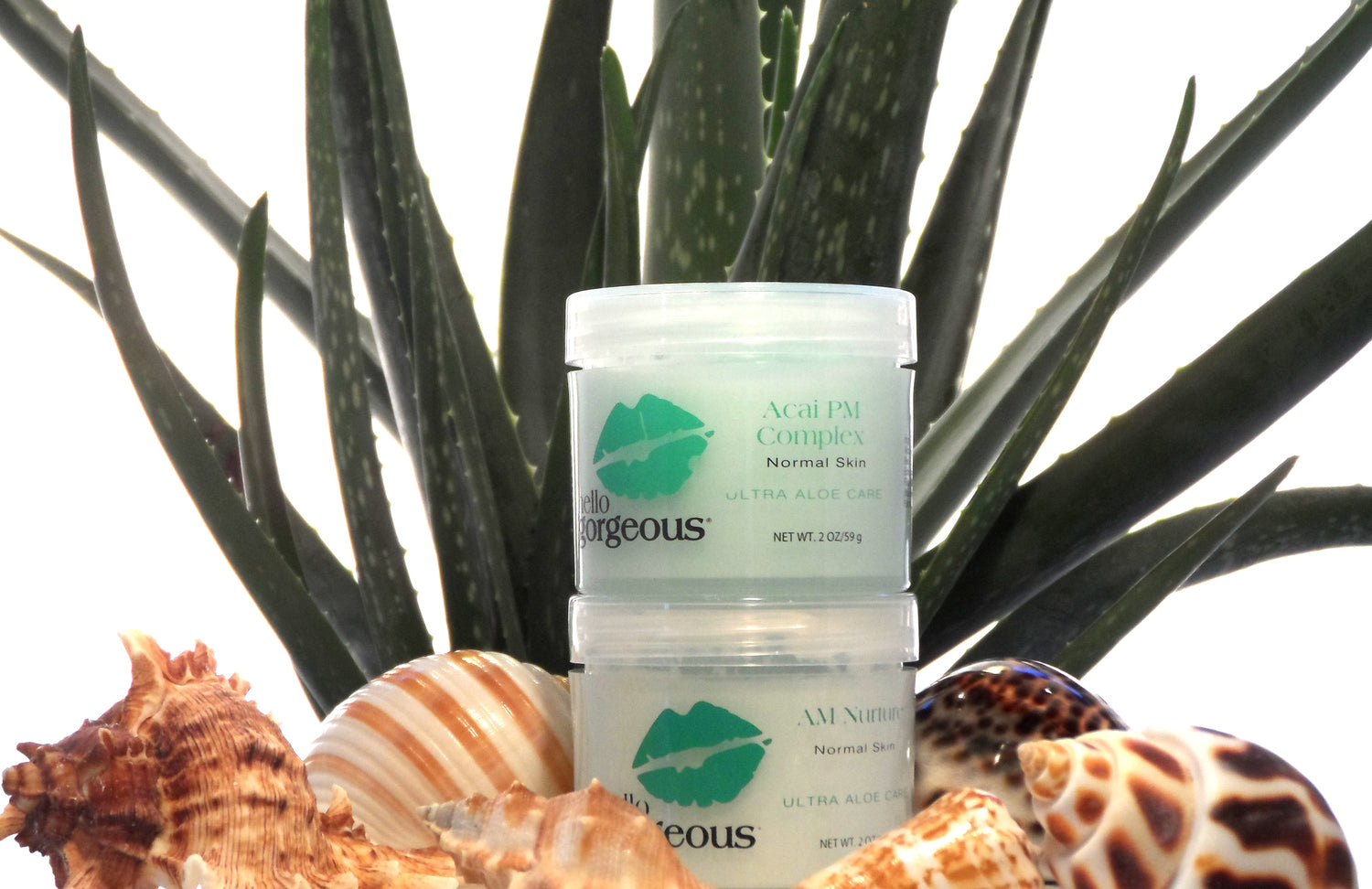 Normal Moisture Duo Combo